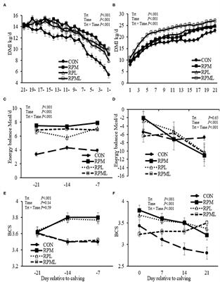 Supplementing Ruminally Protected Lysine, Methionine, or Combination Improved Milk Production in Transition Dairy Cows